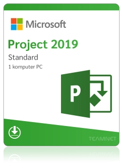 Microsoft Project 2019...