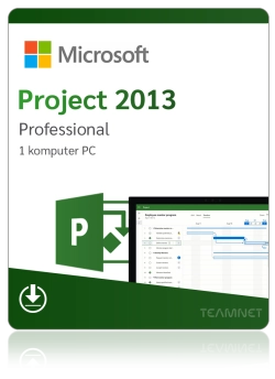 Microsoft Project 2013...