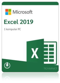 Microsoft Excel 2019