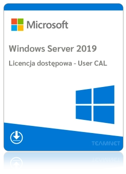 Microsoft Windows Server 2019 - 1 User CAL