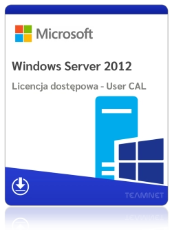 Microsoft Windows Server 2012 - 1 User CAL