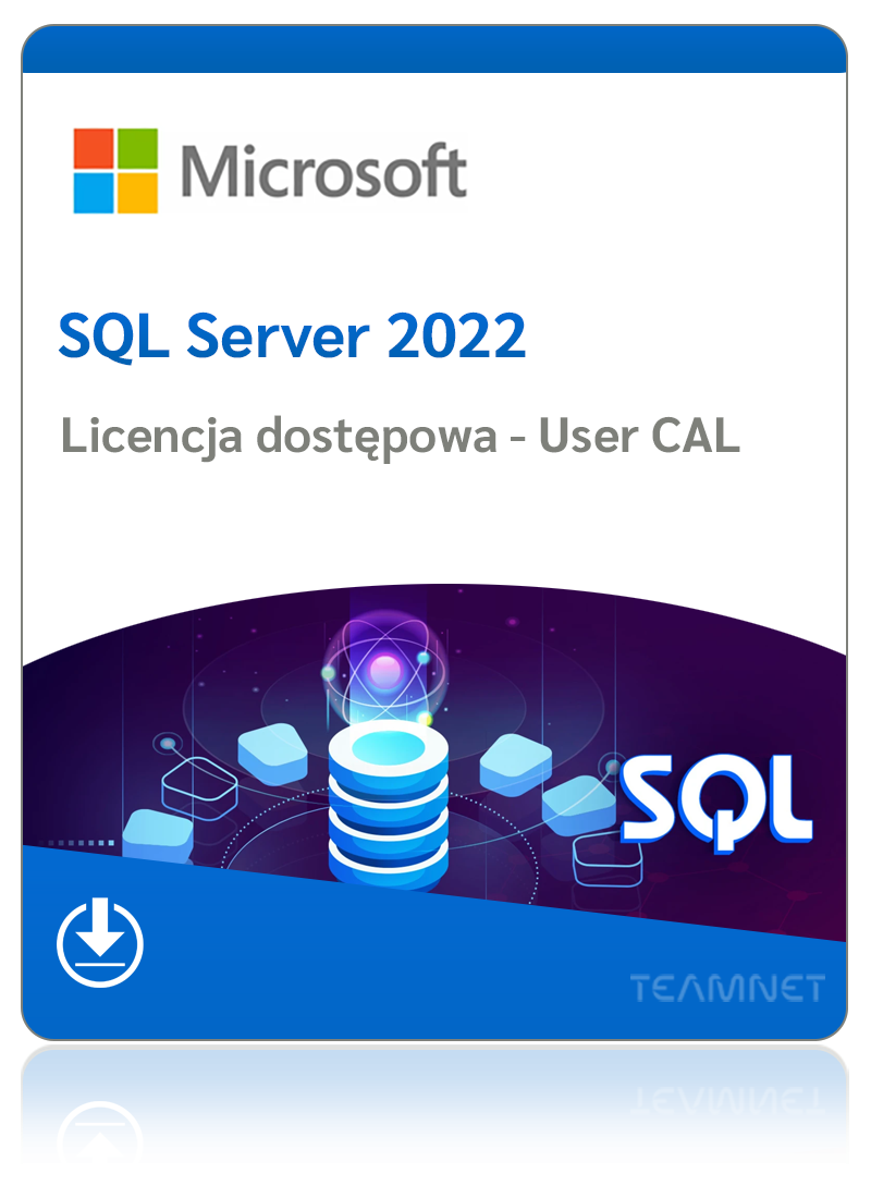 Microsoft SQL Server 2022 Standard – 1 User CAL