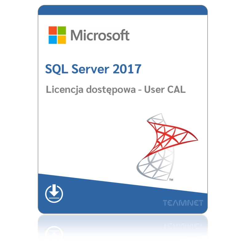 Microsoft SQL Server 2017 Standard – 1 User CAL