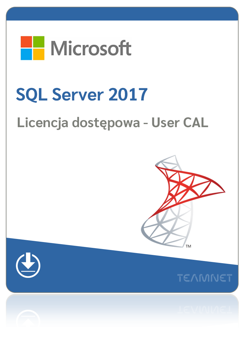 Microsoft SQL Server 2017 Standard – 1 User CAL