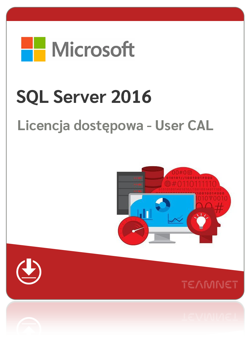 Microsoft SQL Server 2016 Standard – 1 User CAL