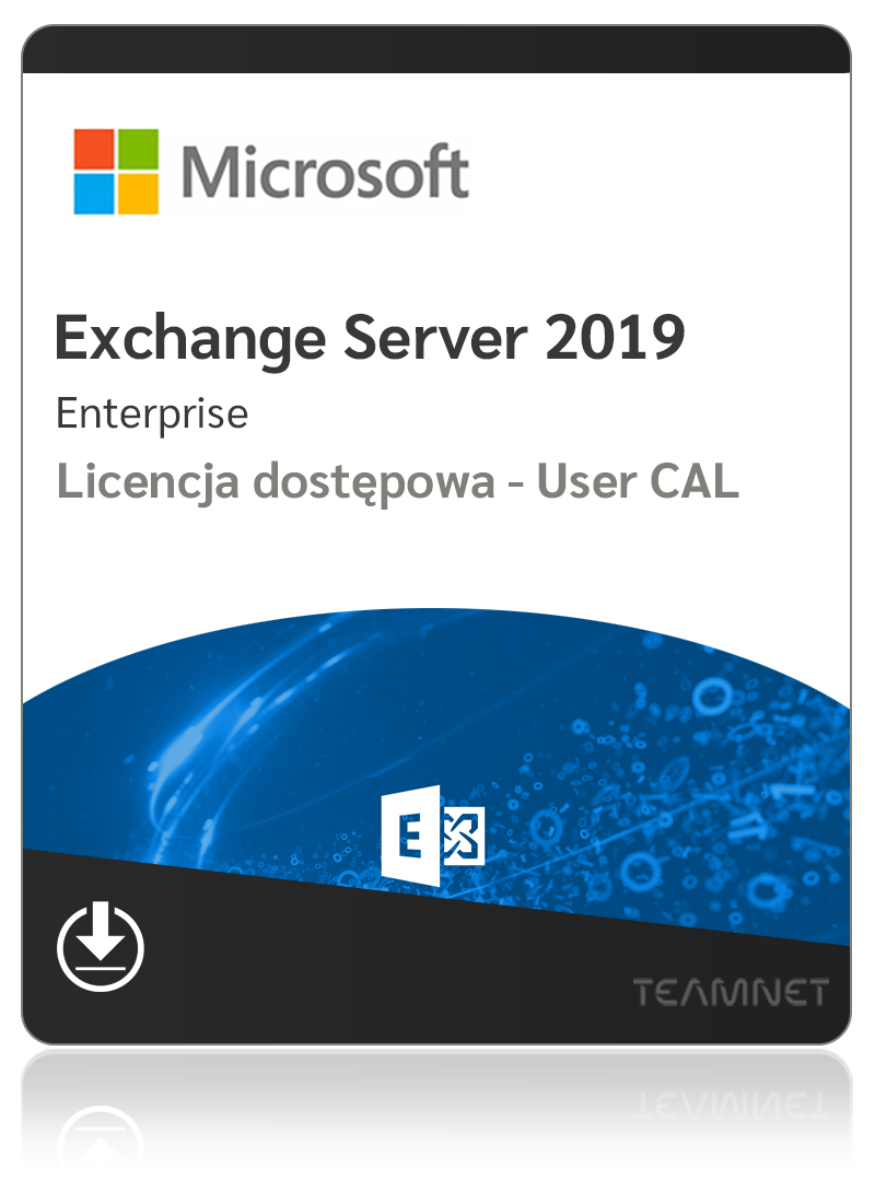 Microsoft Exchange Server 2019 Enterprise - 1 User CAL