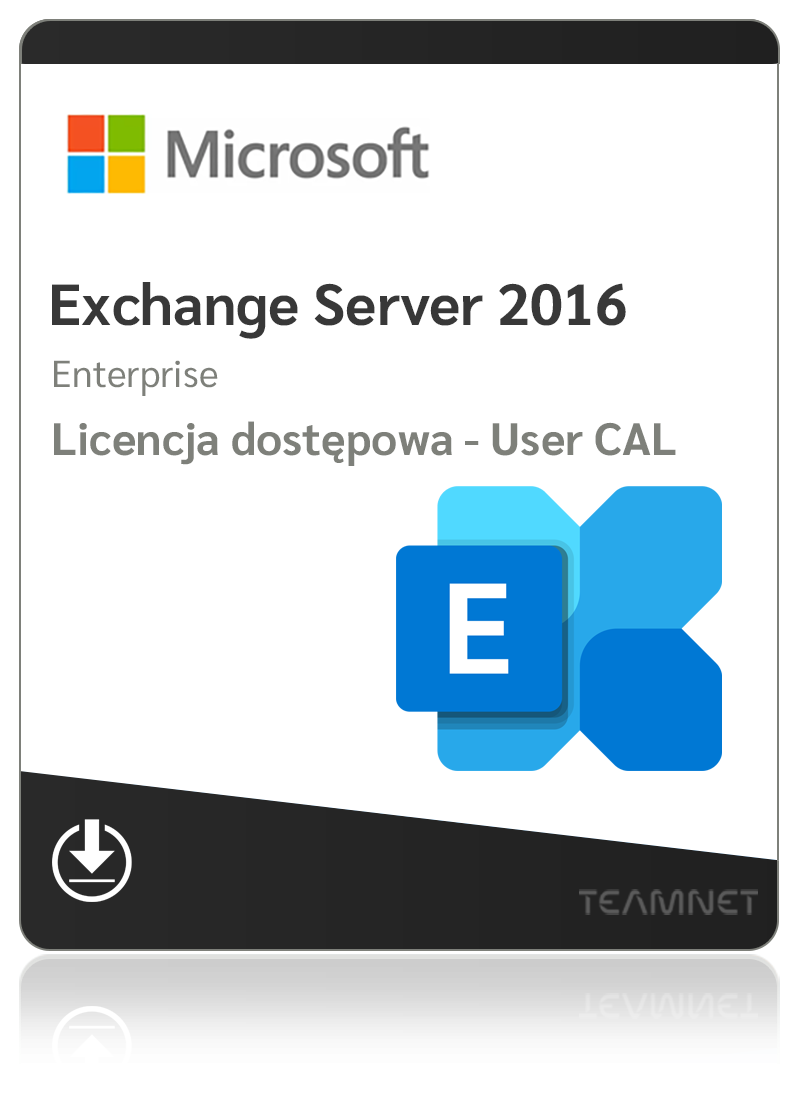 Microsoft Exchange Server 2016 Enterprise - 1 User CAL